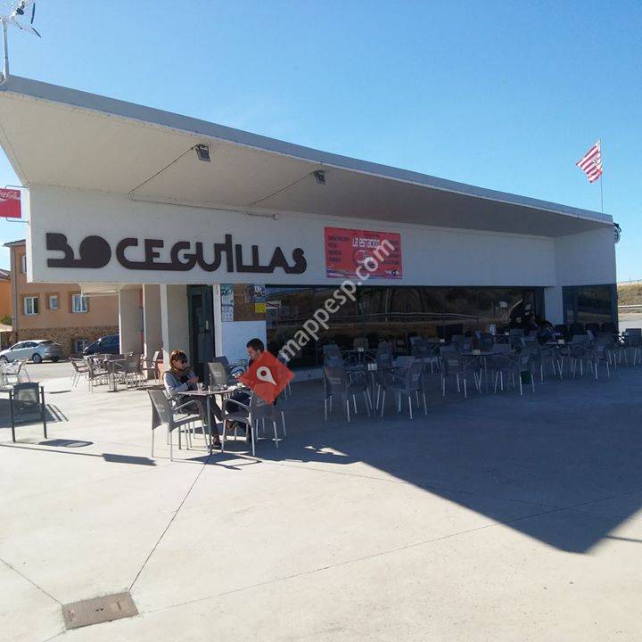 La estacion de Boceguillas