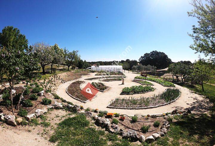 La Granja del Ayer - Villanueva de Perales