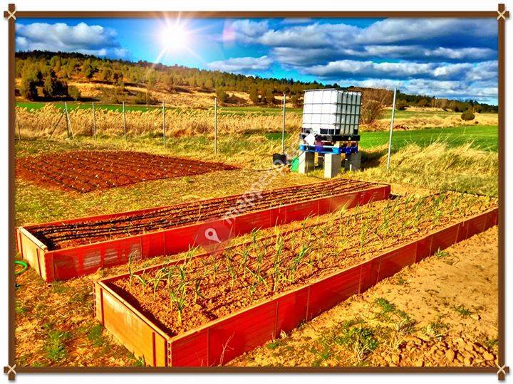 La Granja y la huerta de Marcelino