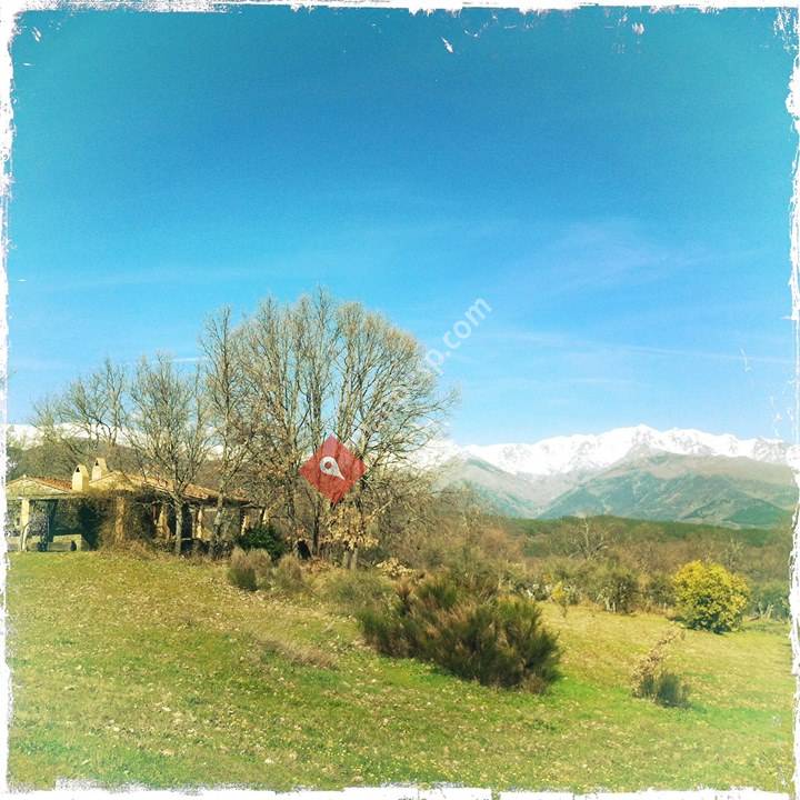 La Guarida