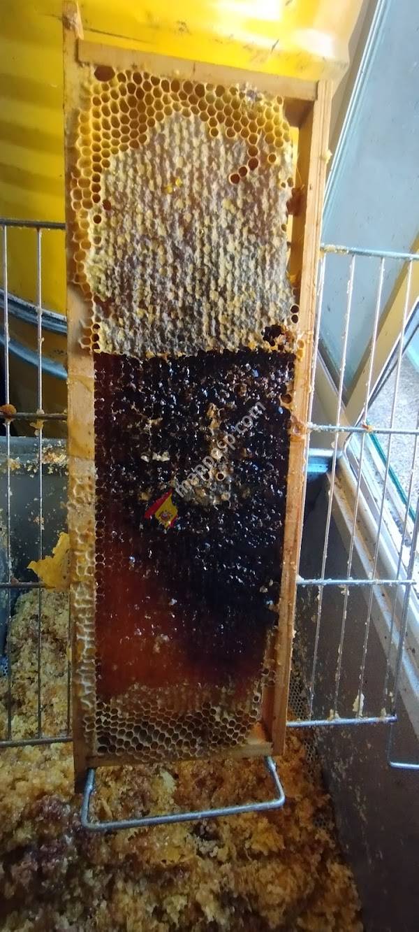 La LLeira miel artesanal