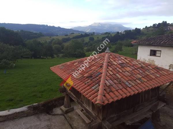 La Llongar estudios