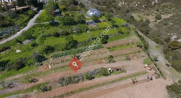 La Loma Viva - Permaculture Project