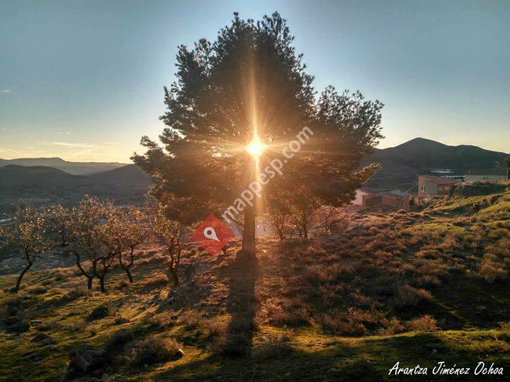 La Pasión en Cornago