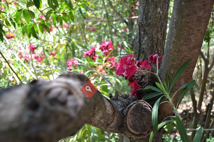 La Rasmia Camping Mpal. Castellote