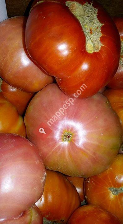 La tienda de Alfonso