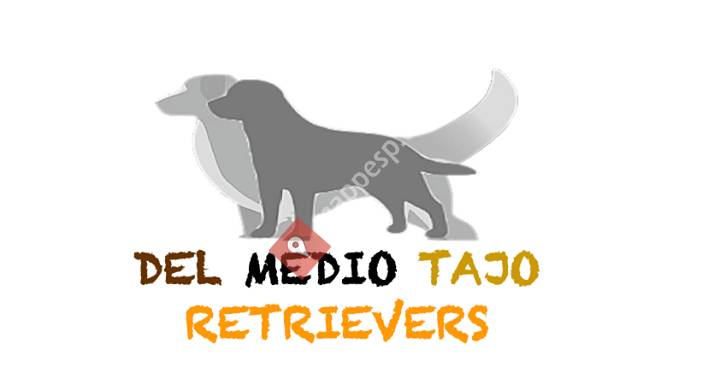 Labradores del Medio Tajo
