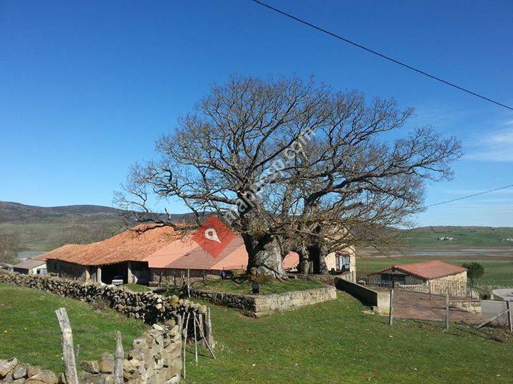 Lanchares, Cantabria, Spain