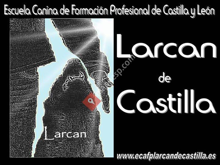Larcan de Castilla