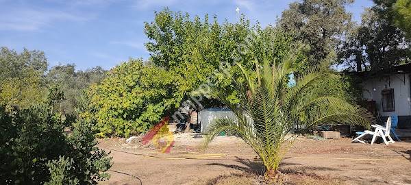 Las Jaras del Manantio