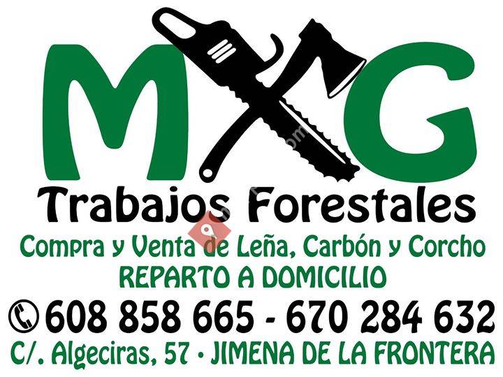 Leñas MG Forestal