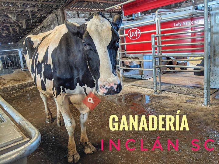 LELY Center Los Corrales
