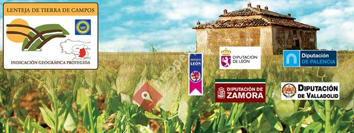 Lenteja de Tierra de Campos IGP