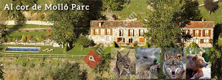 Les Barnedes-Apartaments Rurals