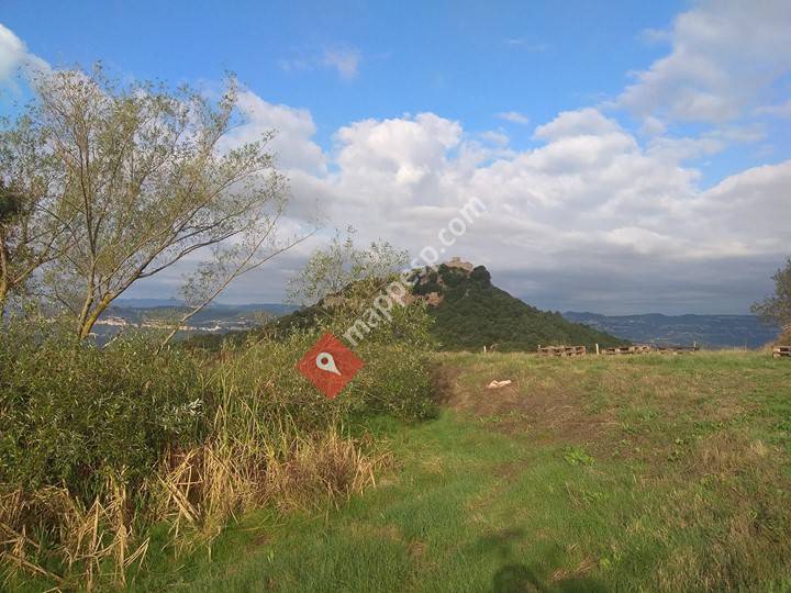 Les Guilles Junts Pels Camins