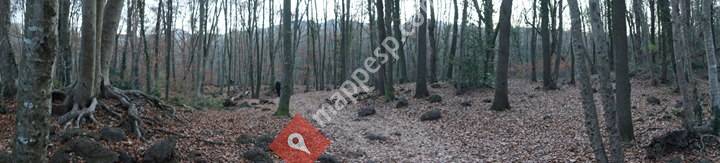 Les Magranes Bed & Breakfast
