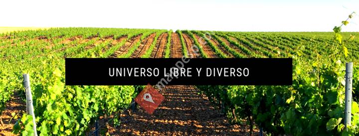 Liberso Curioso Verdejo