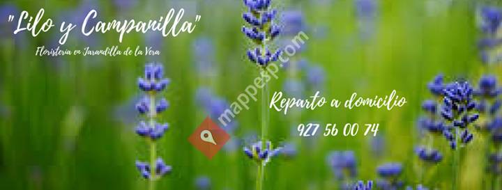 Lilo y Campanilla flowers design