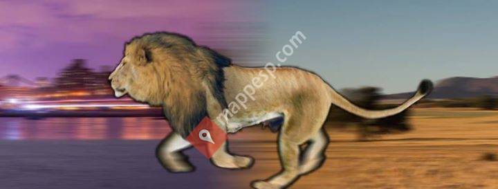 LION Cereals