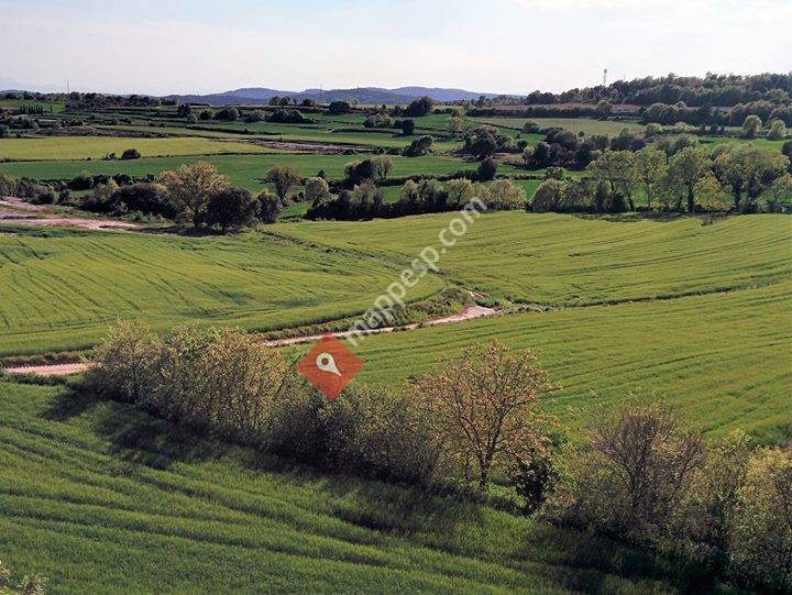 Llusá