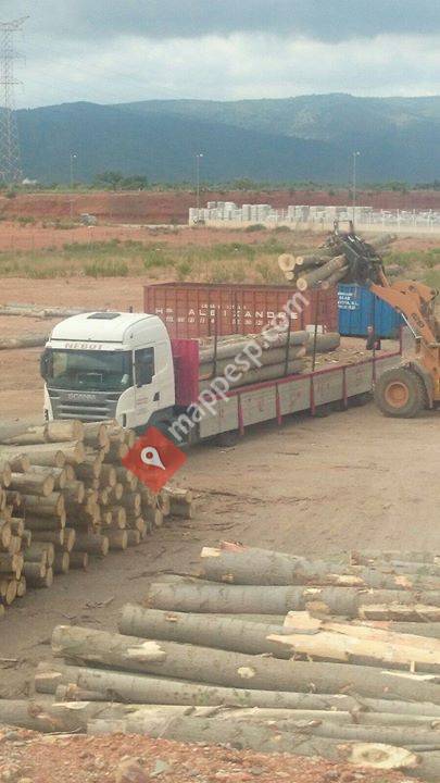 Logistica NEBOT