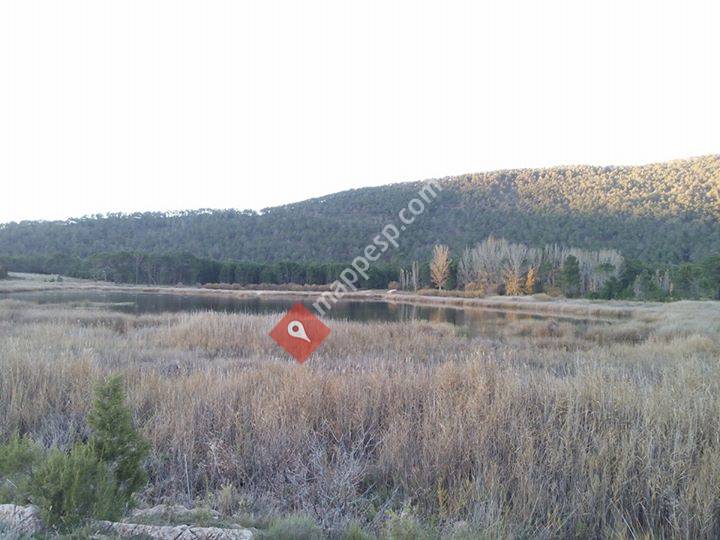 Los pinares de rodeno casas rurales