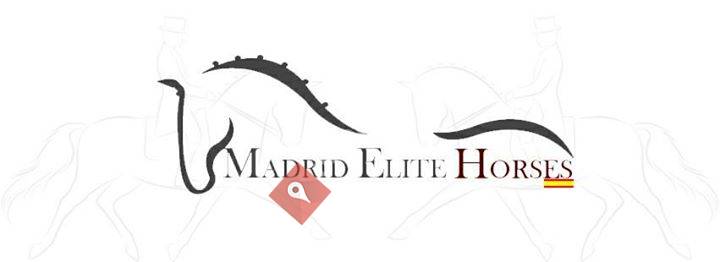 Madrid Elite Horses