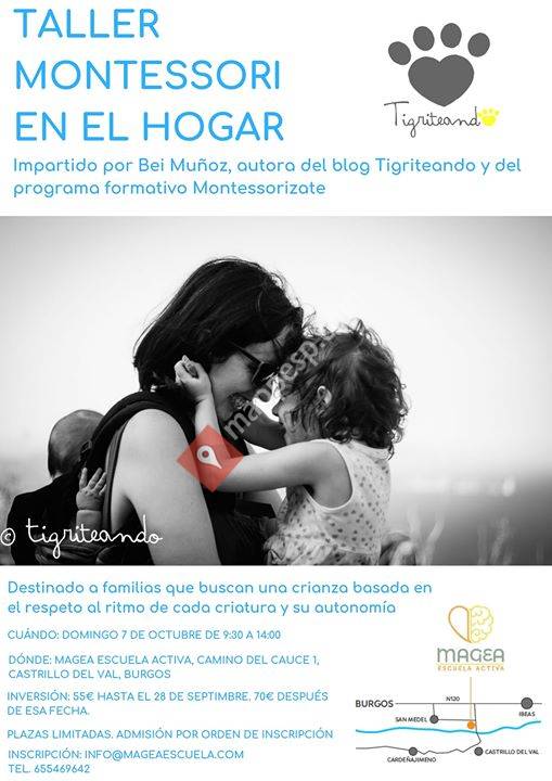 Magea