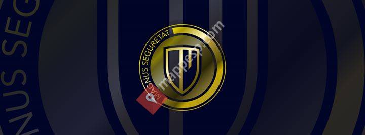 Magnus Seguridad