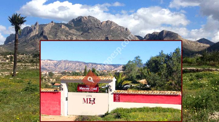 MascotaHotel