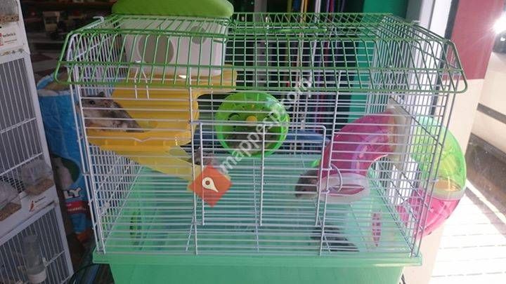 Mascotas & Jardin