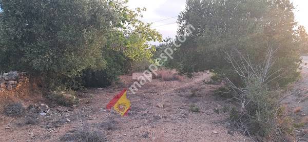 Masia de Carro