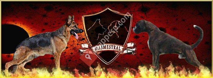 Masmestral