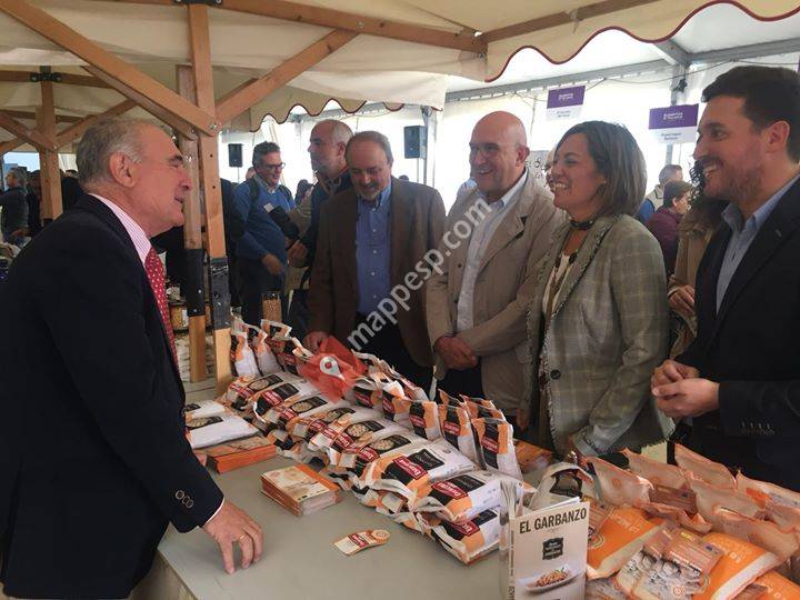 Mayorga, Castilla y León, Spain