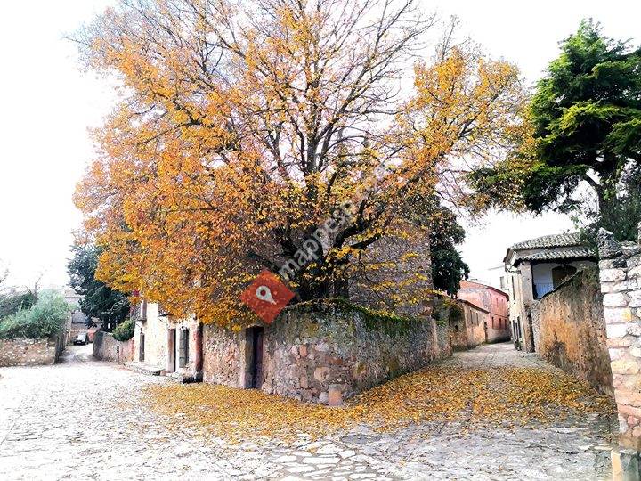 Medinaceli, Castilla y León, Spain