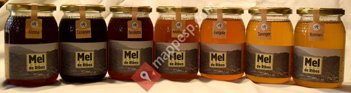 Mel Vall de Ribes