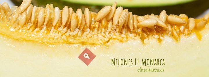 Melones El Monarca
