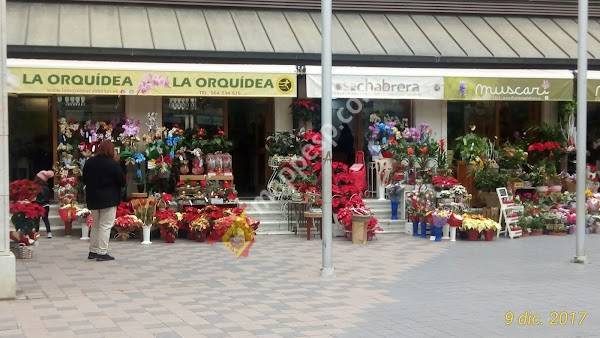 Mercado Central de Castellón