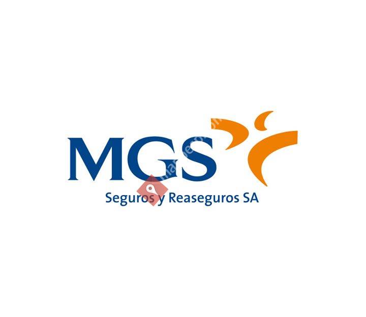 MGS Seguros El Espinar