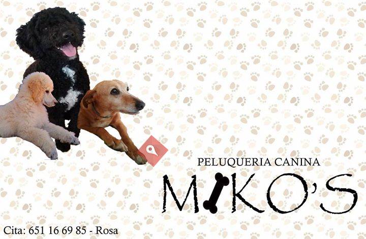 Miko's Peluquería Canina
