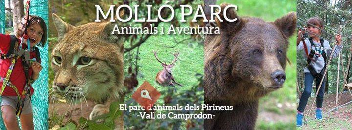 Molló Parc