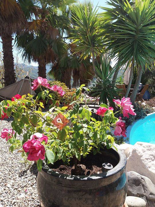 Monda Mountain Retreat Southern Spain
