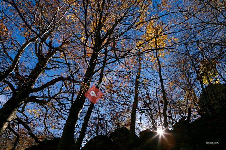 Montanúy, Aragon, Spain