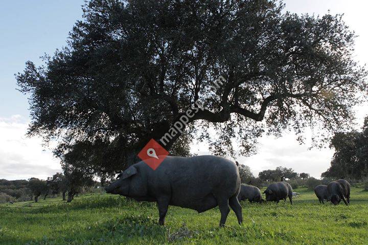 Monte Porrino S.C.L.