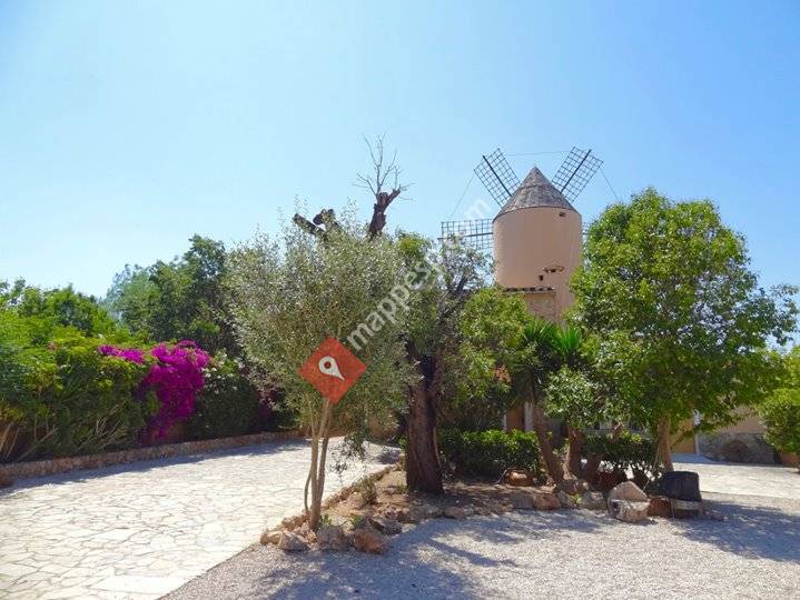 Montessori School of Mallorca