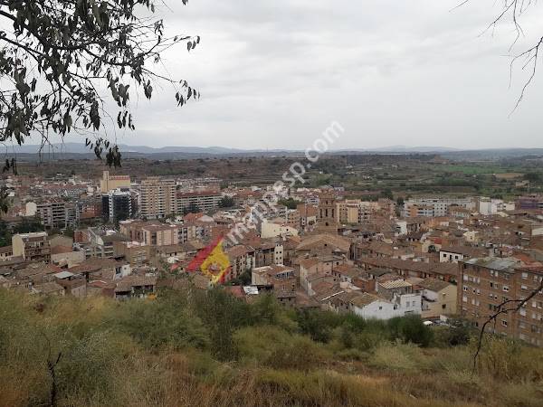 Monzon