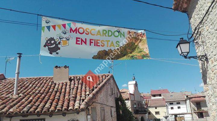 Moscardón En Fiestas