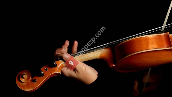 MSO - Mvrgi Symphony Orchestra