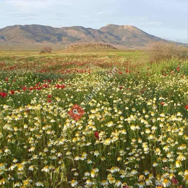امطالسة سيتي mtalssa City