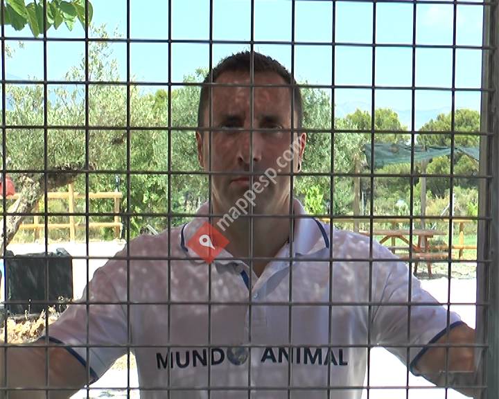 Mundo Animal Tv
